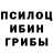 Псилоцибиновые грибы Psilocybe pozzitiv pozzitivhik