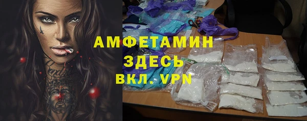 ГАЛЛЮЦИНОГЕННЫЕ ГРИБЫ Аркадак
