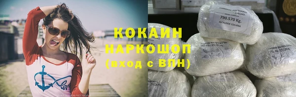 ГАЛЛЮЦИНОГЕННЫЕ ГРИБЫ Аркадак