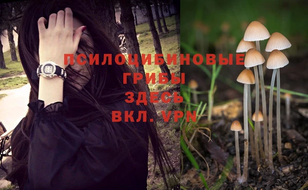 МДМА Армянск