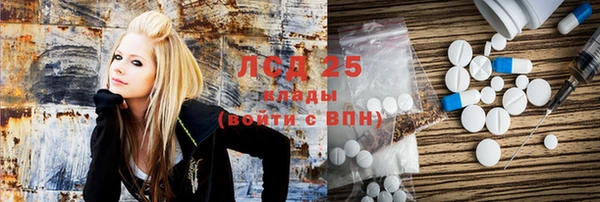 ГАЛЛЮЦИНОГЕННЫЕ ГРИБЫ Аркадак