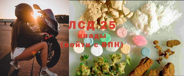 ГАЛЛЮЦИНОГЕННЫЕ ГРИБЫ Аркадак