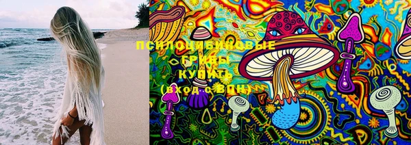 ГАЛЛЮЦИНОГЕННЫЕ ГРИБЫ Аркадак